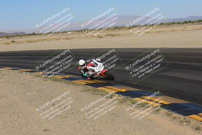 media/Nov-12-2023-SoCal Trackdays (Sun) [[5d1fba4e7d]]/Turn 14 Inside (2pm)/